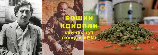 сатива Тобольск