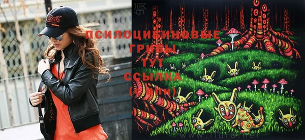 сатива Тобольск