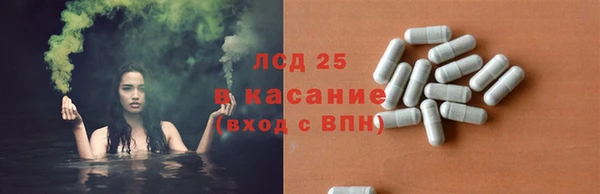 ПСИЛОЦИБИНОВЫЕ ГРИБЫ Тавда