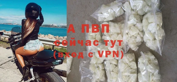 ПСИЛОЦИБИНОВЫЕ ГРИБЫ Тавда