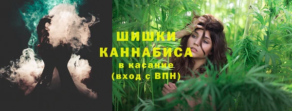 сатива Тобольск