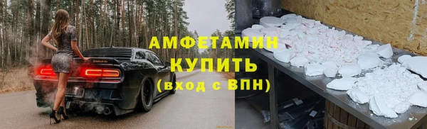 сатива Тобольск