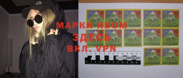сатива Тобольск
