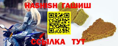 дмт Кингисепп