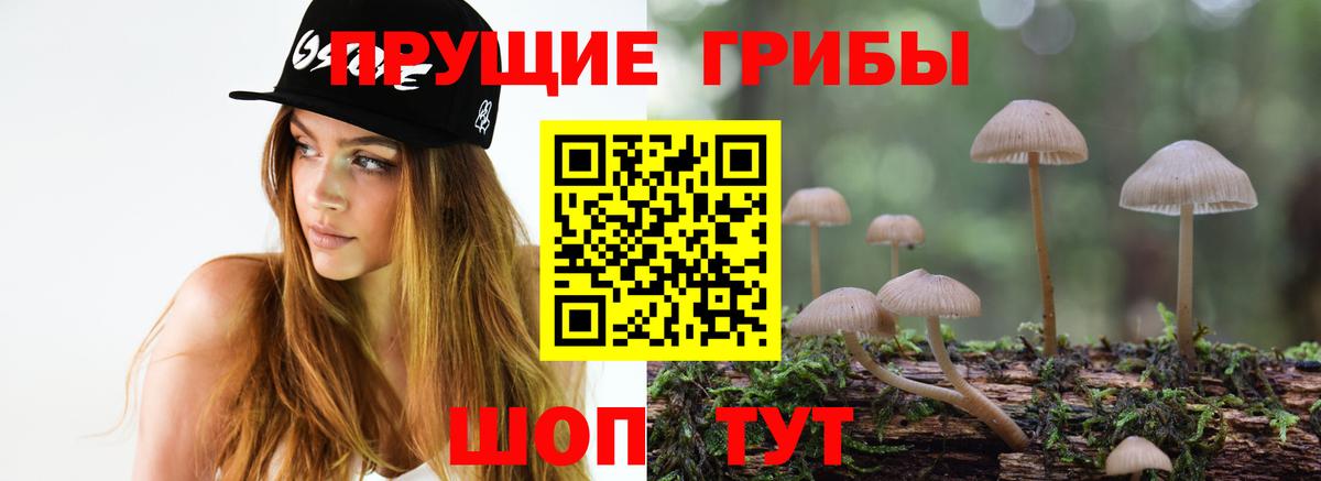 Псилоцибиновые грибы прущие грибы  где купить наркоту  Сухой Лог  Вход с VPN  Псилоцибиновые грибы Psilocybe 